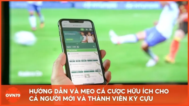 Hướng dẫn và mẹo cá cược hữu ích cho cả người mới cũng như thành viên kỳ cựu